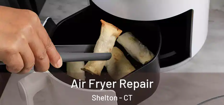 Air Fryer Repair Shelton - CT