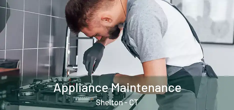 Appliance Maintenance Shelton - CT
