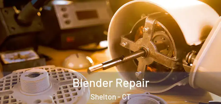 Blender Repair Shelton - CT