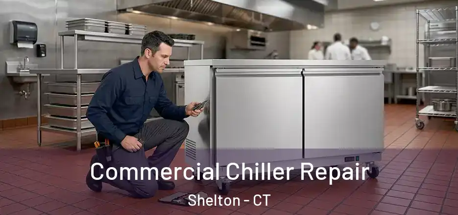  Commercial Chiller Repair Shelton - CT
