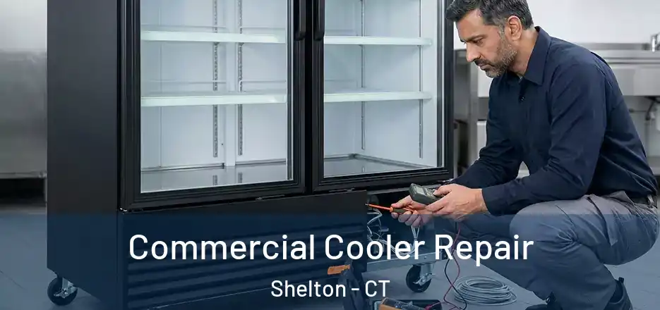 Commercial Cooler Repair Shelton - CT