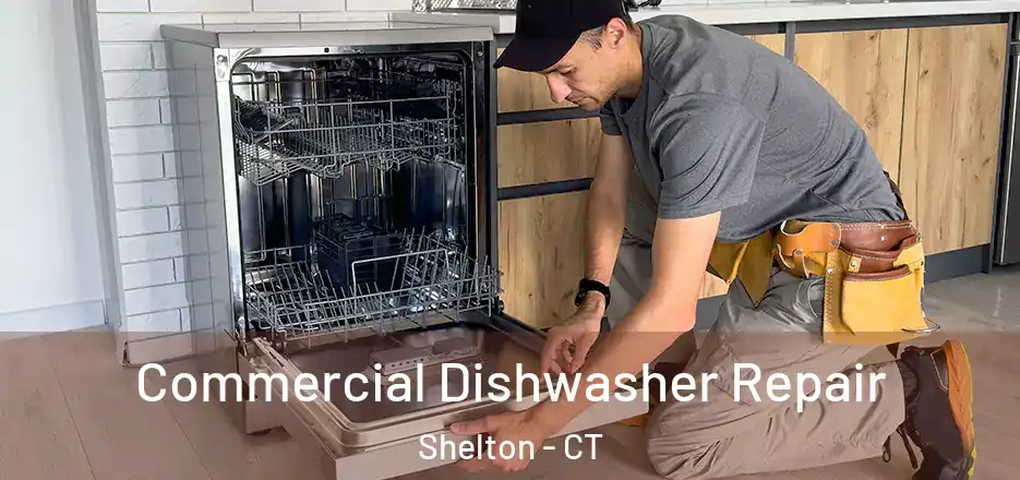  Commercial Dishwasher Repair Shelton - CT