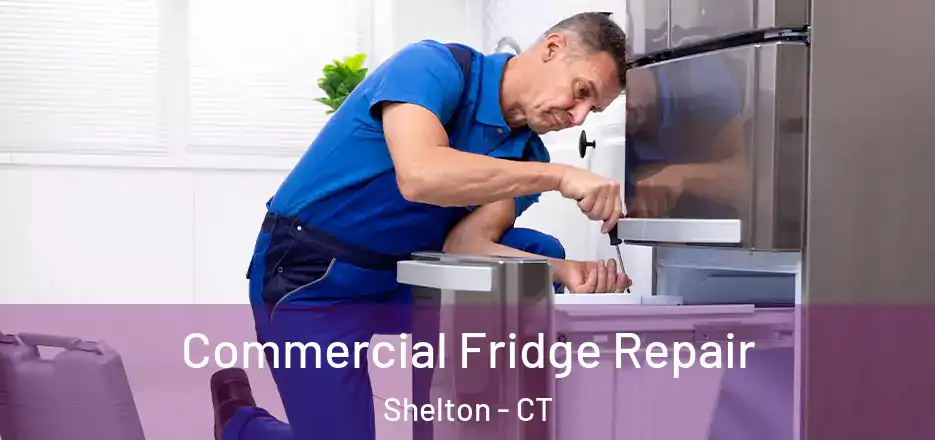Commercial Fridge Repair Shelton - CT