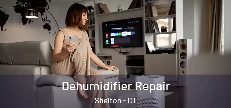  Dehumidifier Repair Shelton - CT