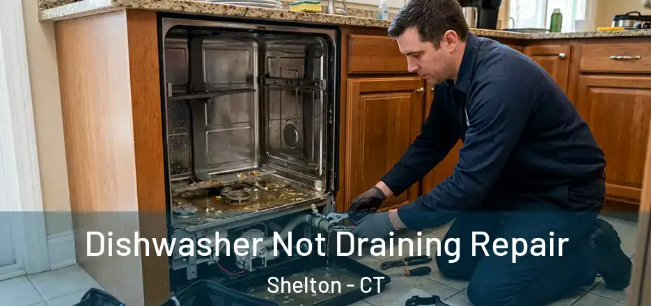 Dishwasher Not Draining Repair Shelton - CT