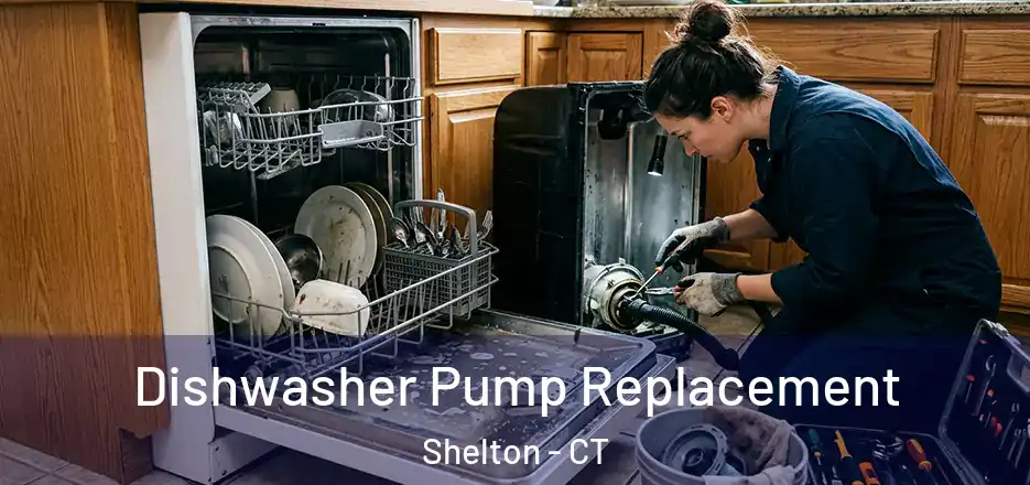 Dishwasher Pump Replacement Shelton - CT