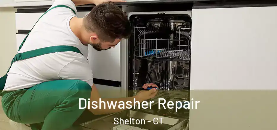 Dishwasher Repair Shelton - CT