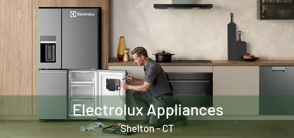  Electrolux Appliances Shelton - CT