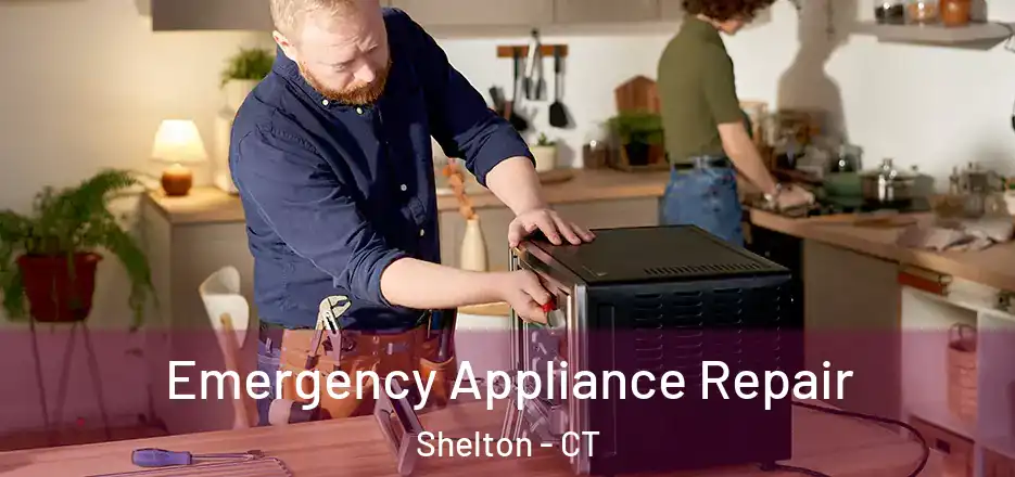 Emergency Appliance Repair Shelton - CT