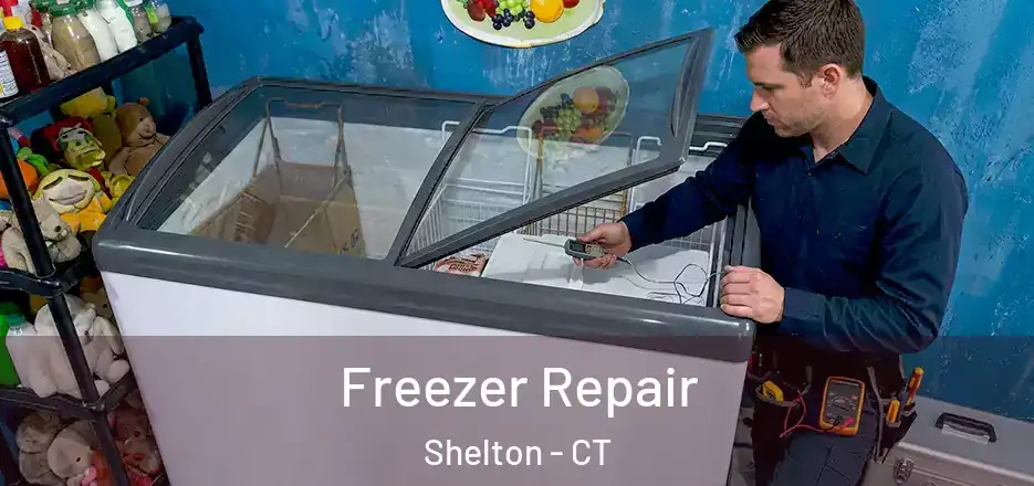Freezer Repair Shelton - CT