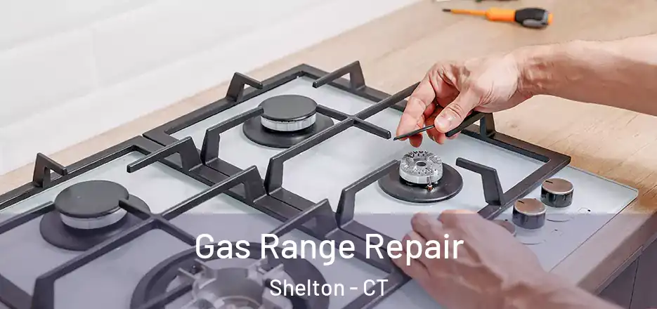  Gas Range Repair Shelton - CT