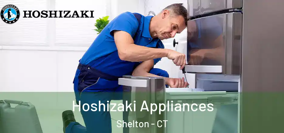 Hoshizaki Appliances Shelton - CT