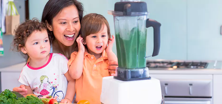 Juicer and Mixer Blender Repair in Shelton