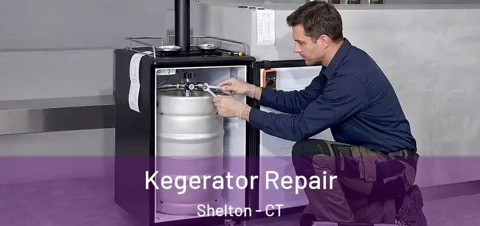 Kegerator Repair Shelton - CT