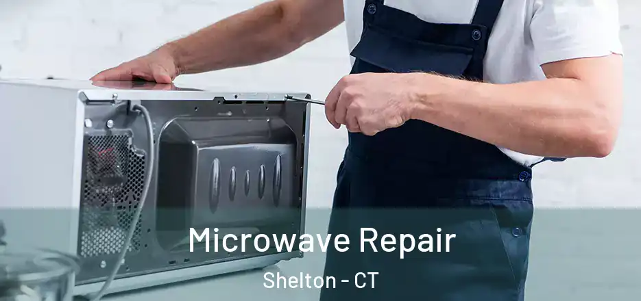  Microwave Repair Shelton - CT