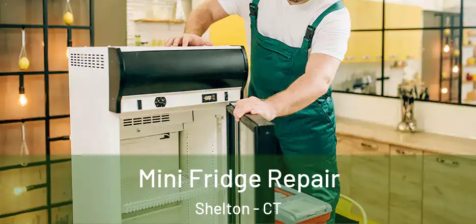  Mini Fridge Repair Shelton - CT