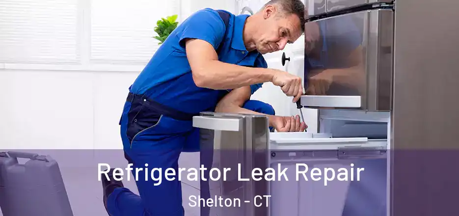 Refrigerator Leak Repair Shelton - CT