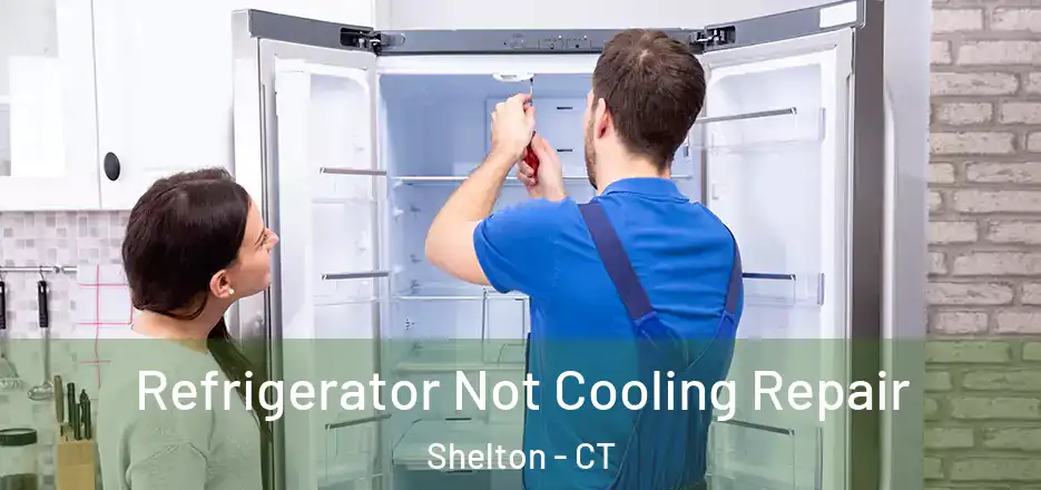  Refrigerator Not Cooling Repair Shelton - CT