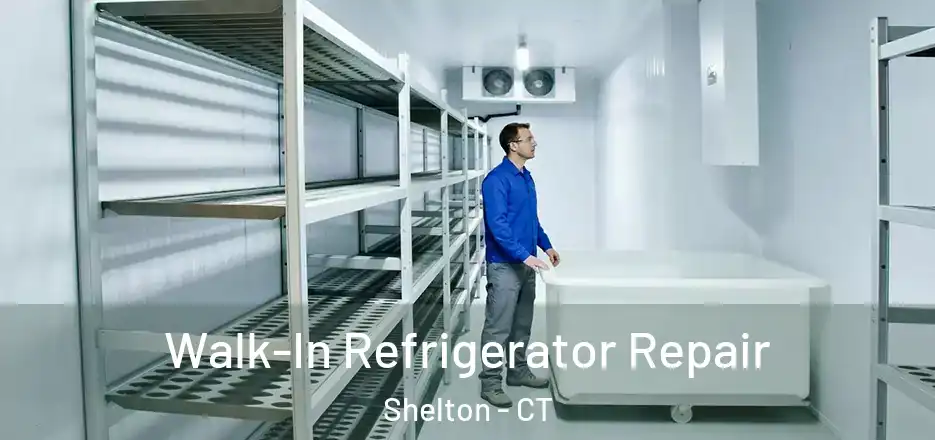  Walk-In Refrigerator Repair Shelton - CT