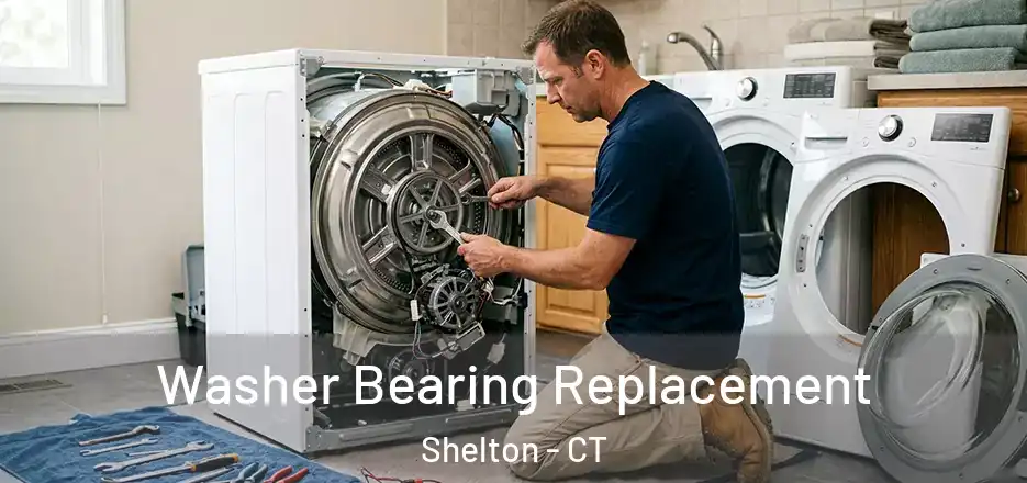  Washer Bearing Replacement Shelton - CT