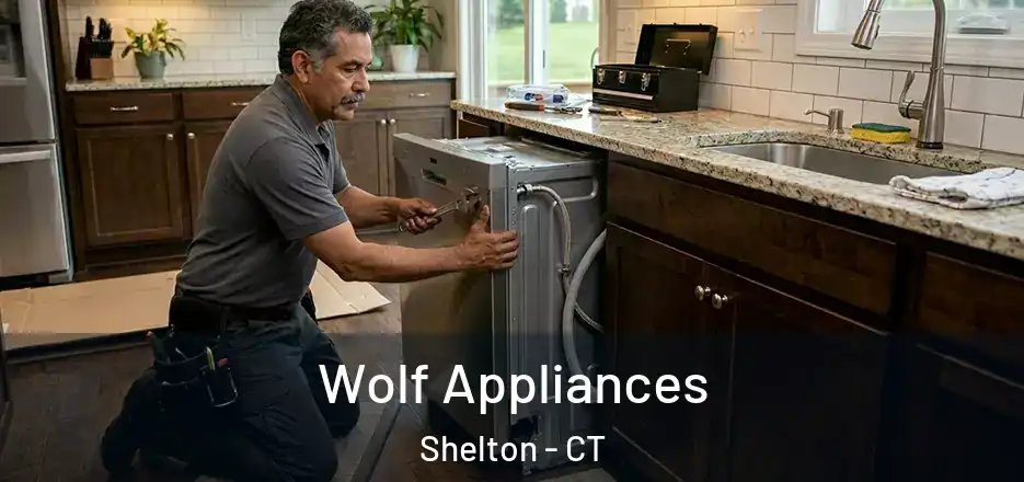  Wolf Appliances Shelton - CT